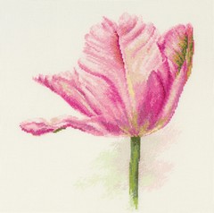 картинка Набор для вышивания "Тюльпаны. Нежно-розовый" от магазина Стежочек