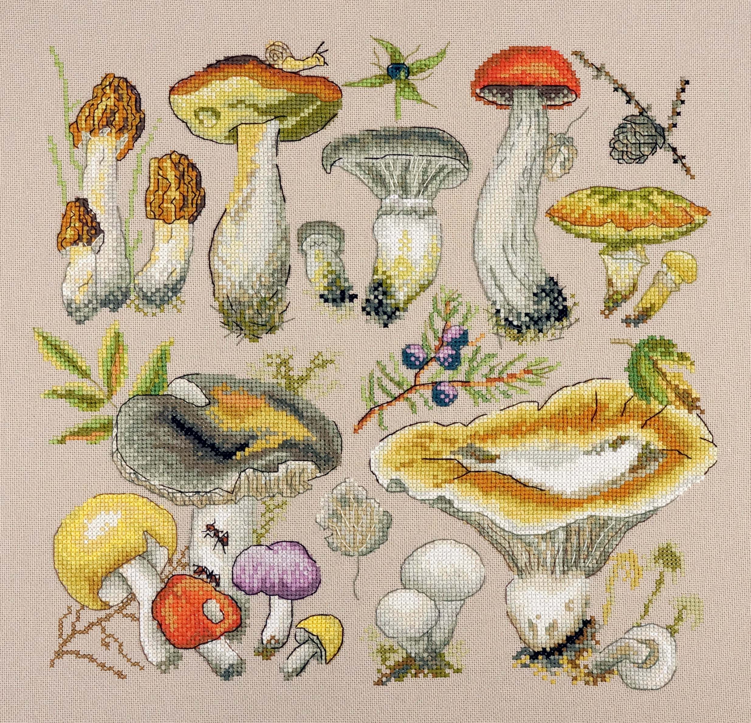 картинка Набор для вышивания "Ассорти грибное" от магазина Стежочек
