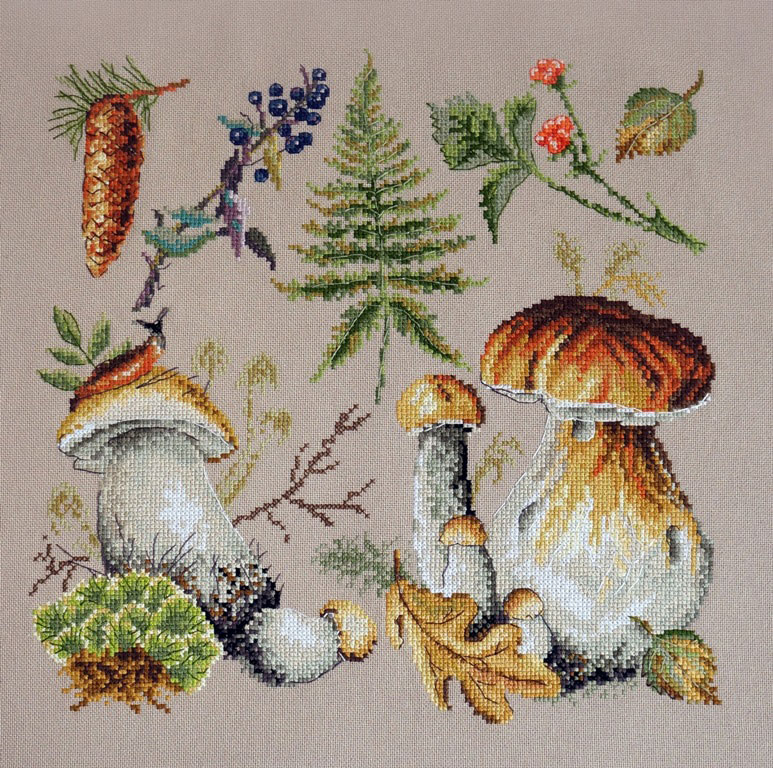картинка Набор для вышивания "Белые грибы" от магазина Стежочек