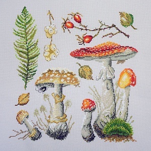 картинка Набор для вышивания "Мухоморы" от магазина Стежочек
