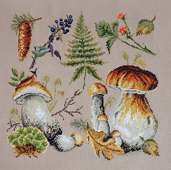картинка Набор для вышивания "Белые грибы" от магазина Стежочек