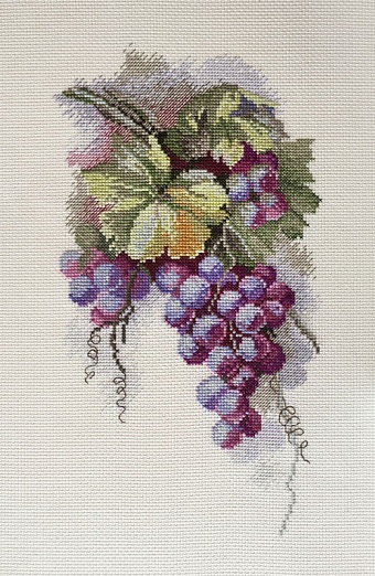 картинка Набор для вышивания "Синий виноград" (по рисунку С.Амес) от магазина Стежочек